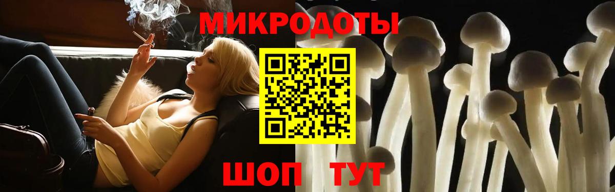 Псилоцибиновые грибы Psilocybe  купить наркотики сайты  Тосно  Псилоцибиновые грибы мухоморы  Вход с VPN 